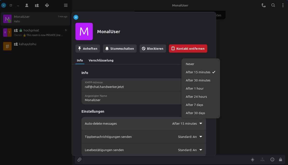 DinoX auto-delete messages feature with timer options for disappearing messages