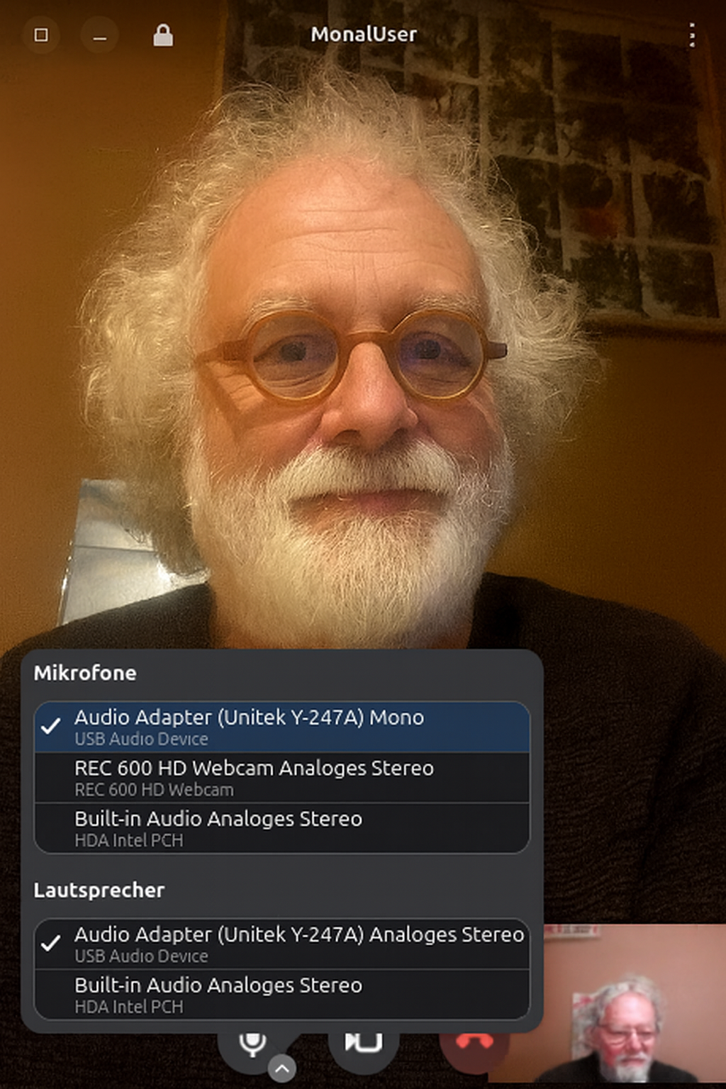 DinoX audio and video call interface with call controls and participant view