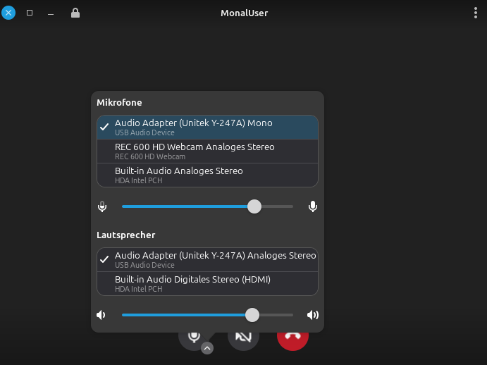 DinoX audio call with volume control sliders for microphone and speaker